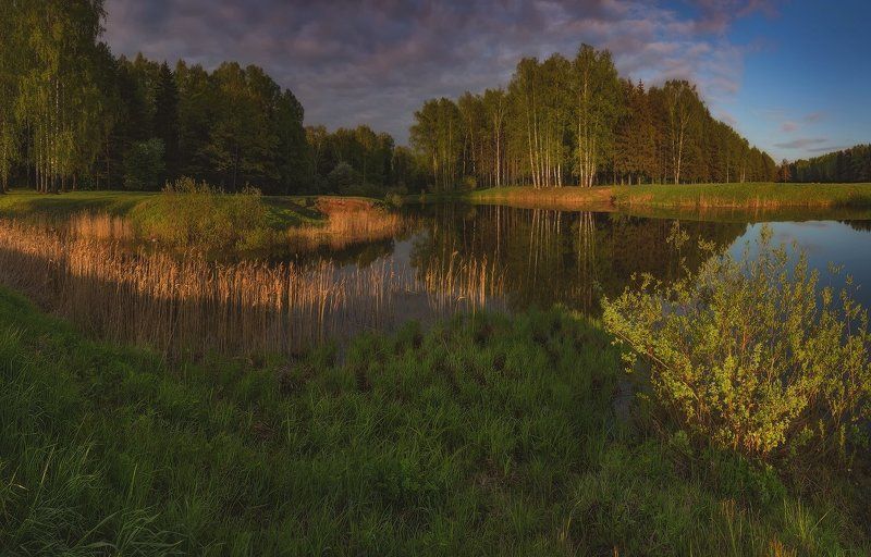 landscape, павловск, павловский, павловский парк, пейзаж, питер Мечты о мае. . . фото превью