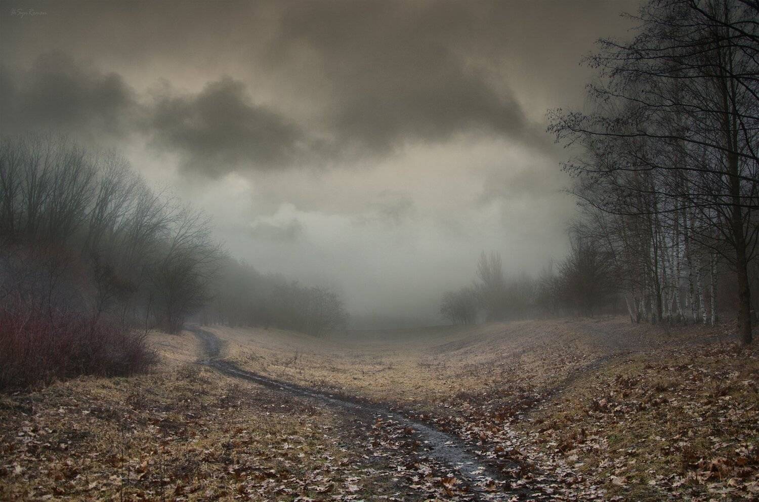 тучи, туман, март, деревья, весна, балка, Roma Krasov ( Chitinskiy )