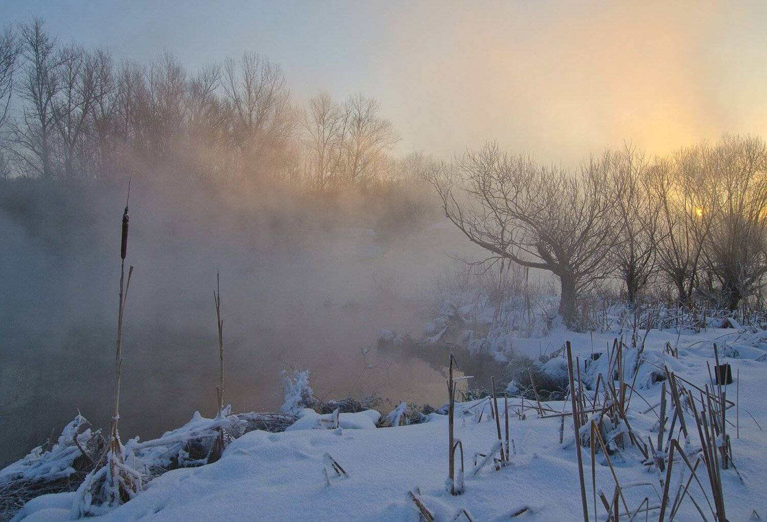 зима холод мороз снег иней озеро горячка, Михаил Агеев