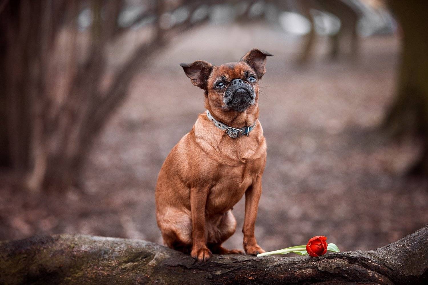 , Петрова Анна