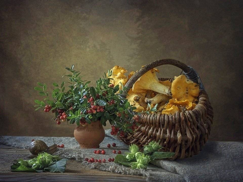 натюрморт, лето, лесные дары, лисички, корзина, горшочек, улитка, молодые лесные орехи, брусника, Ирина Приходько
