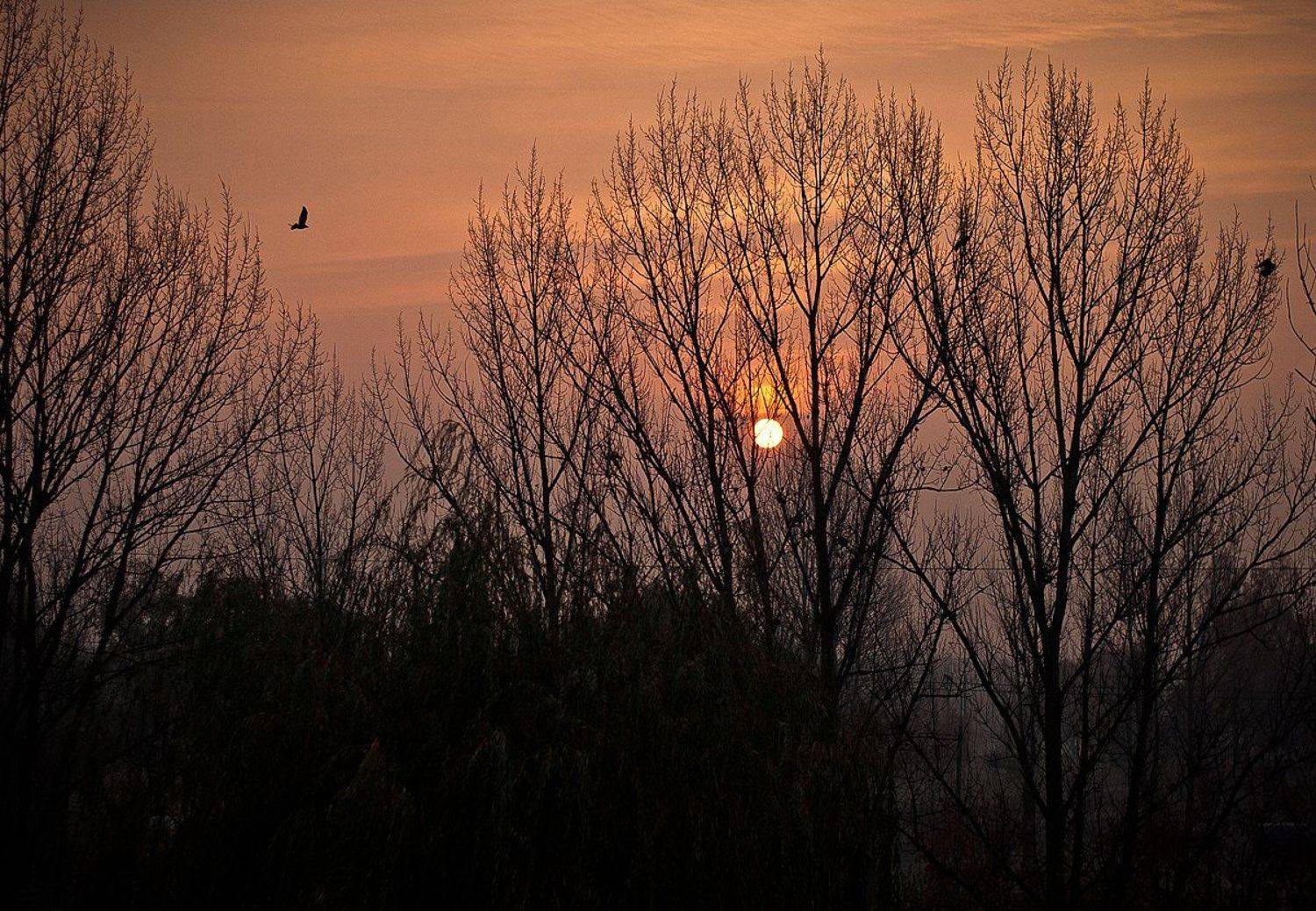 природа, красиво, рассвет, Круковская Ольга