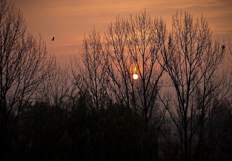 природа, красиво, рассвет Рассвет фото превью