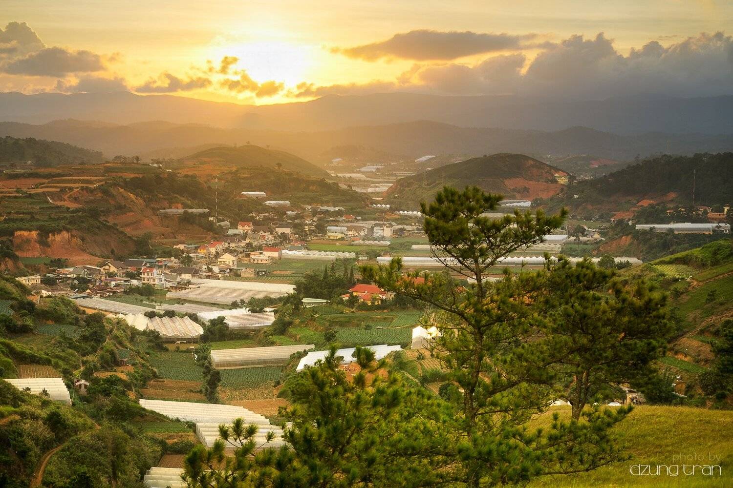 #dalat #sunset #sun #lonelytree, Tran Minh Dung