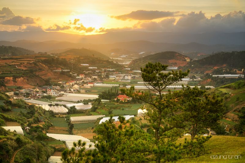 #dalat #sunset #sun #lonelytree Sunset at Dalat city фото превью