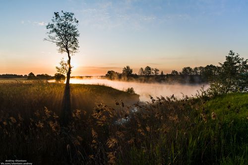 Утром ранним.