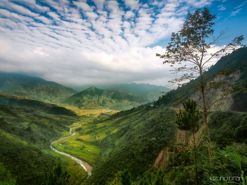 #khaupa #pass #mucangchai #cloud #lonelytree Heaven gate фото превью