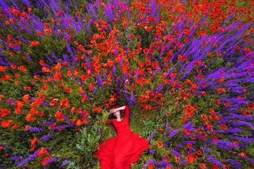 Цветущий Крым