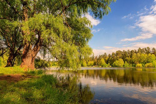 Тихие омуты, вешние воды