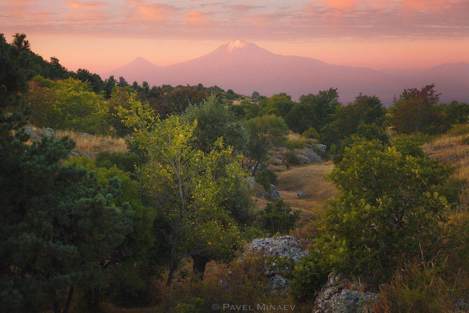 , Минаев Павел