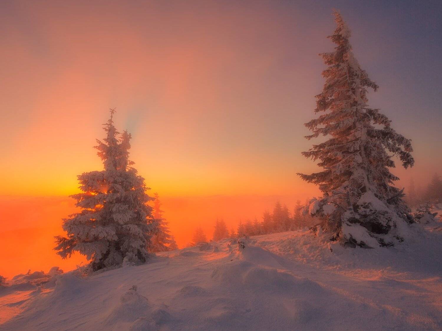 landscape,canon,winter,sunrise, Iza,Darek