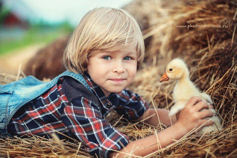 , Ирина Амосова