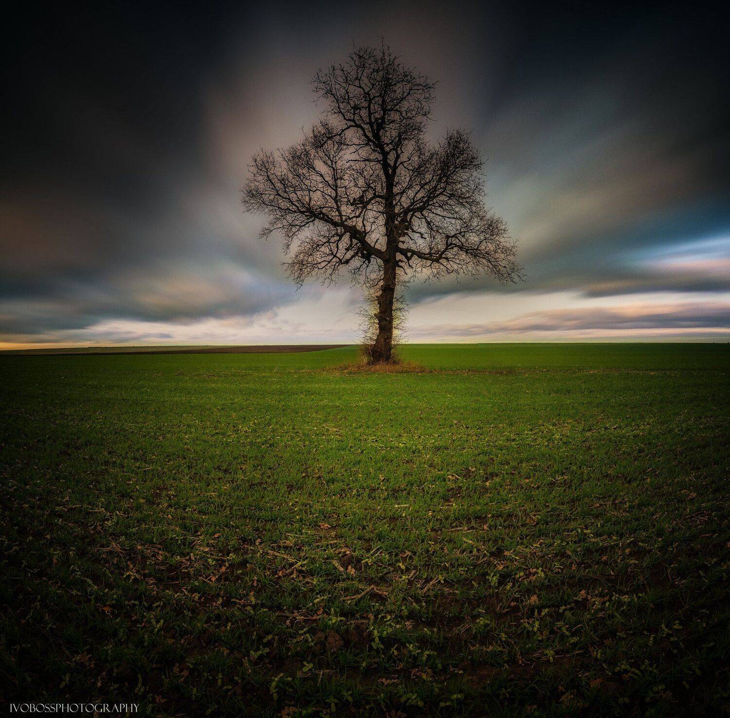 biggstopper field clouds loneliness , Ivailo Bosev