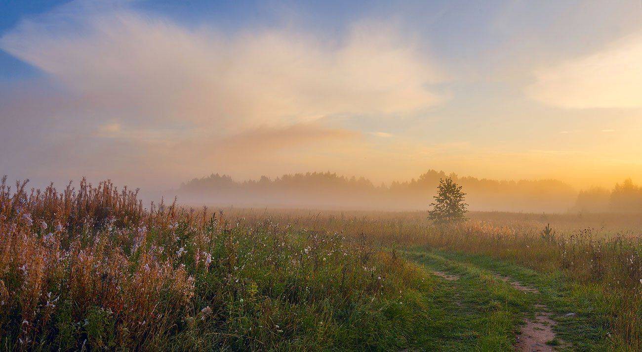 туман сентябрь осень утро, Марина Мурашова