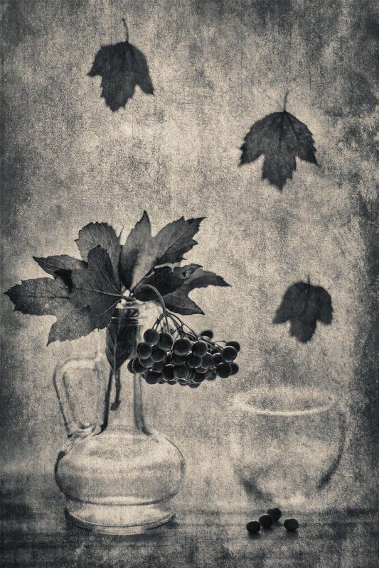 осень фото превью