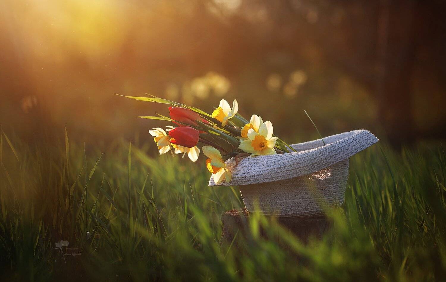 , Инна Сухова