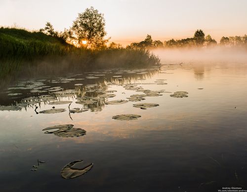 Красота природы.