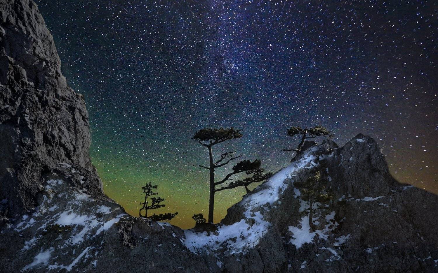 ночь,звезды,дерево,скала,снег,зима,крым,ай-петри,небо,природа,пейзаж,сосны,деревья,россия, Elena Pakhalyuk