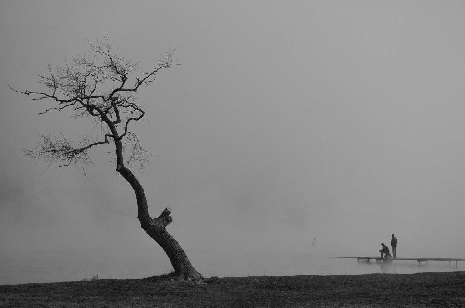 туман, люди, чб, Елена Шевченко