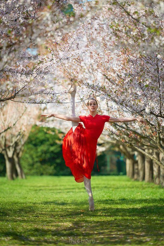 ballerina, ballet, dance, dancing, portrait, Весна фото превью