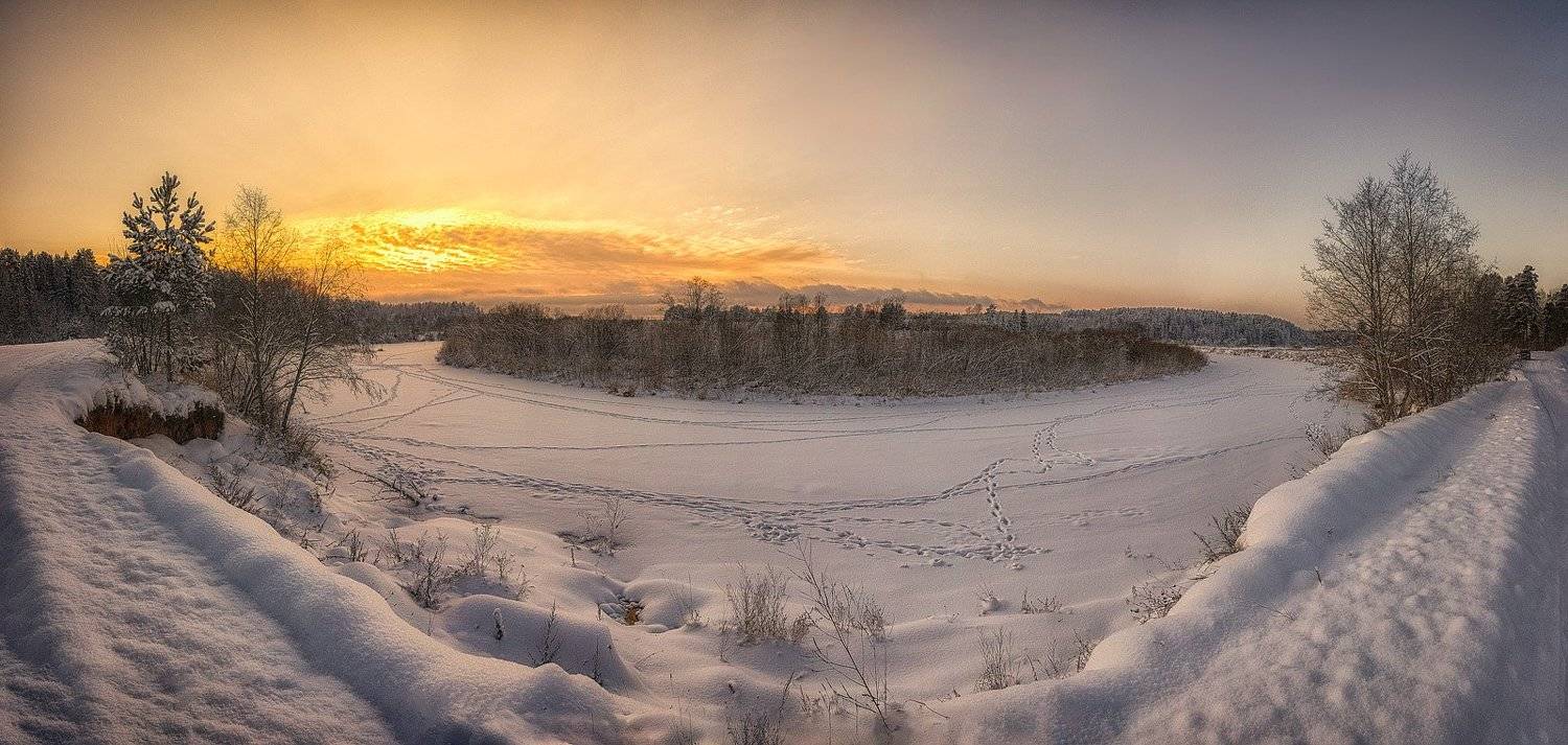 , Пушкарев Николай