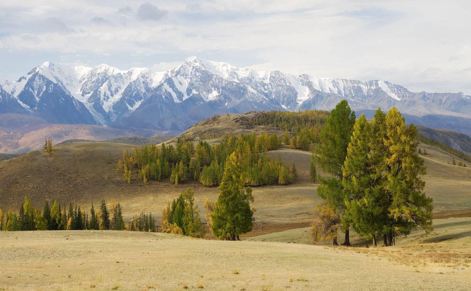 , Лещёнок Александр