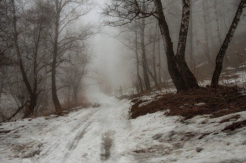 Туманные тропы весны. фото превью