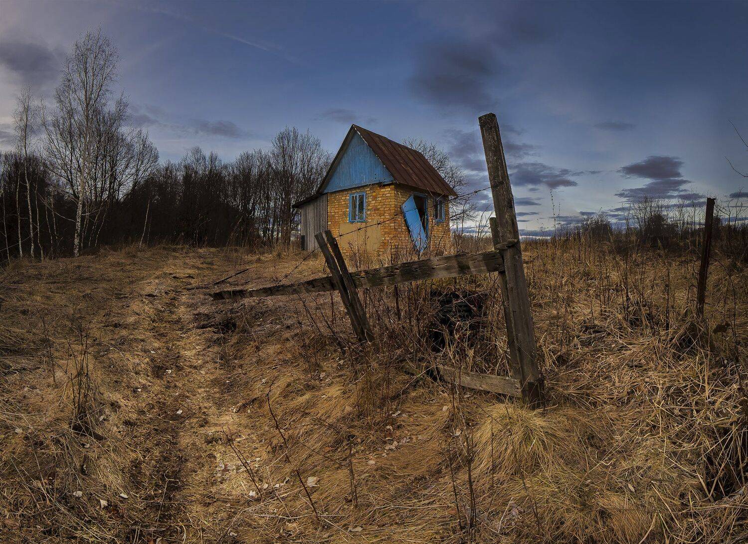 , Виталий Стрельцов