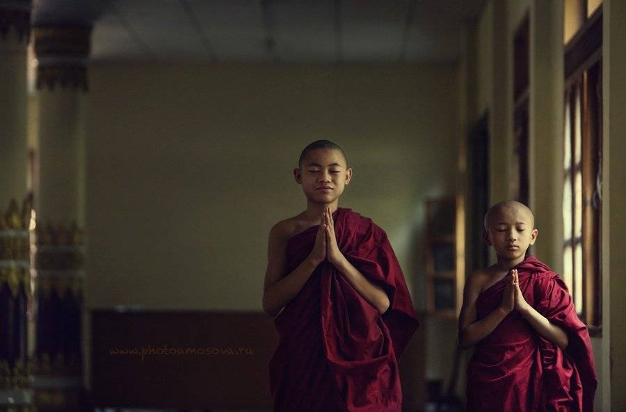 , Ирина Амосова