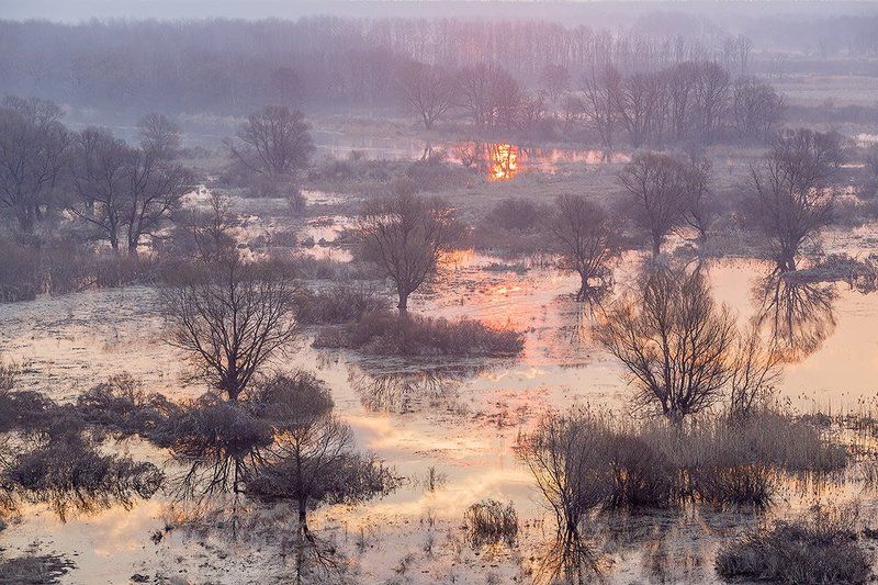 Весенний хоровод. фото превью