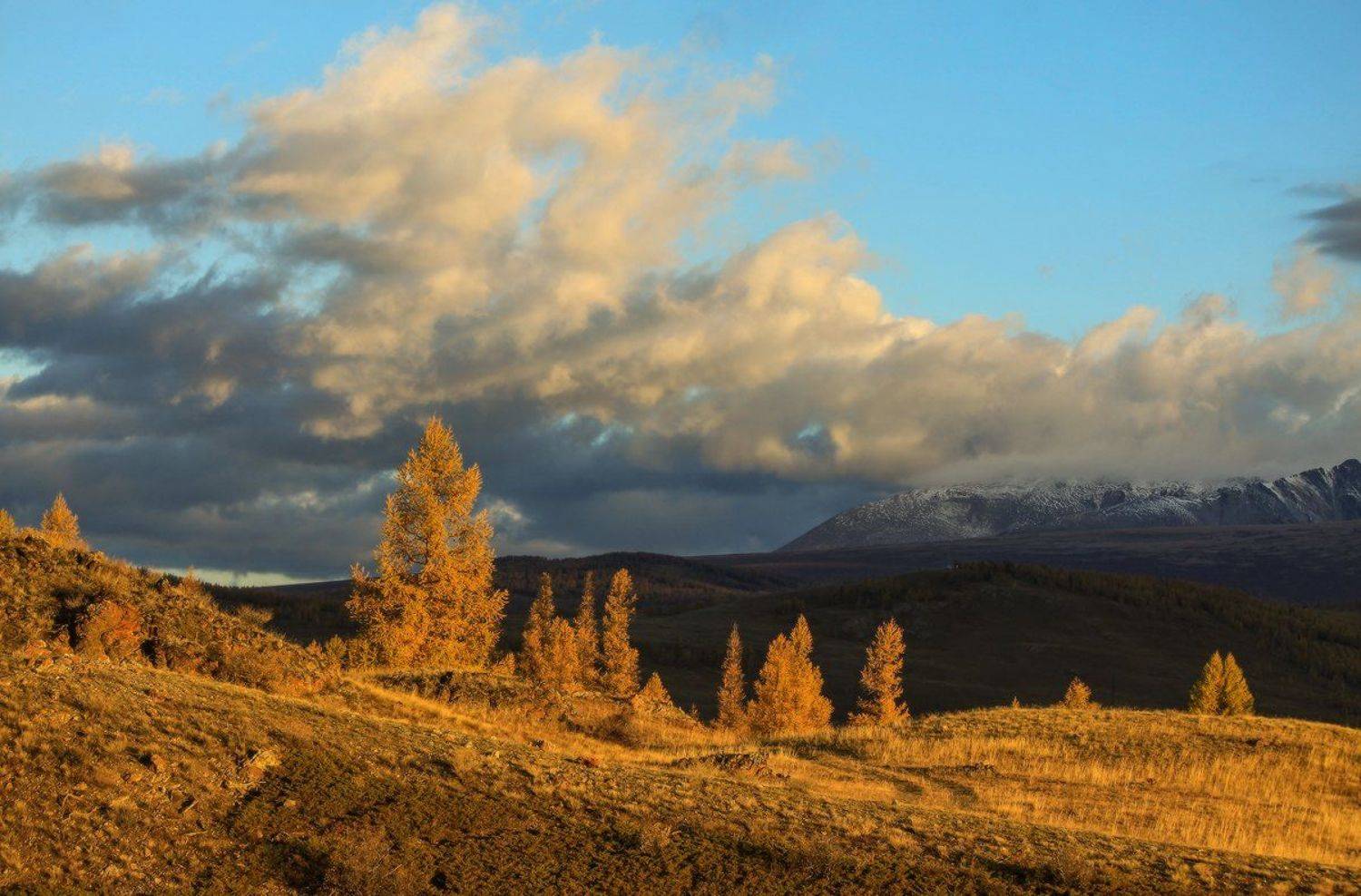 алтай, горный алтай, курай, Галина Хвостенко