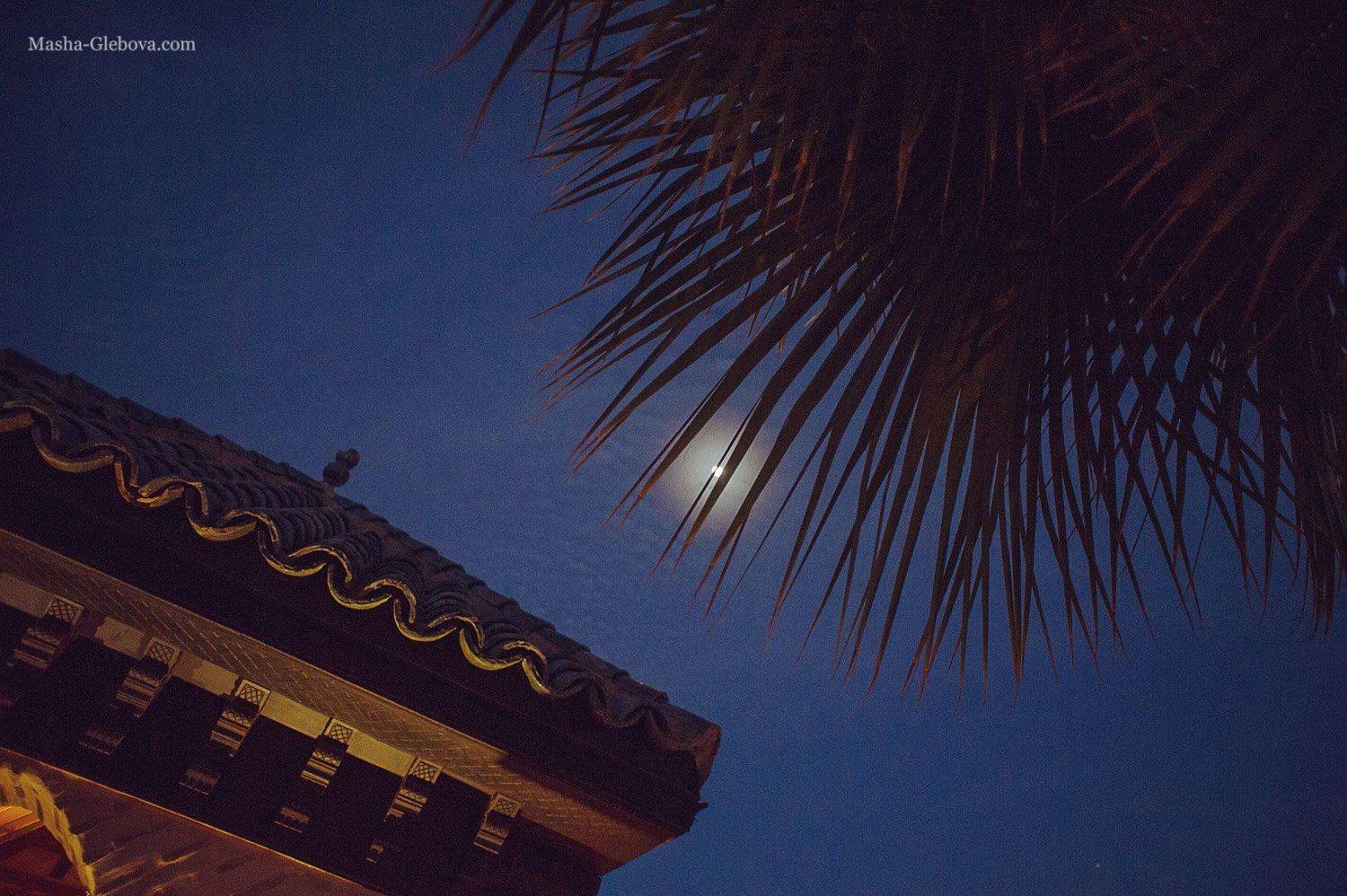 , Маша Глебова