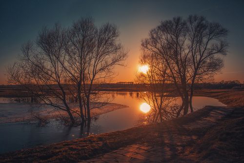 Весеннее безмолвие