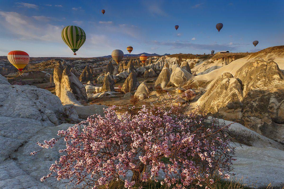 , Kani (kanipolat.com) Polat