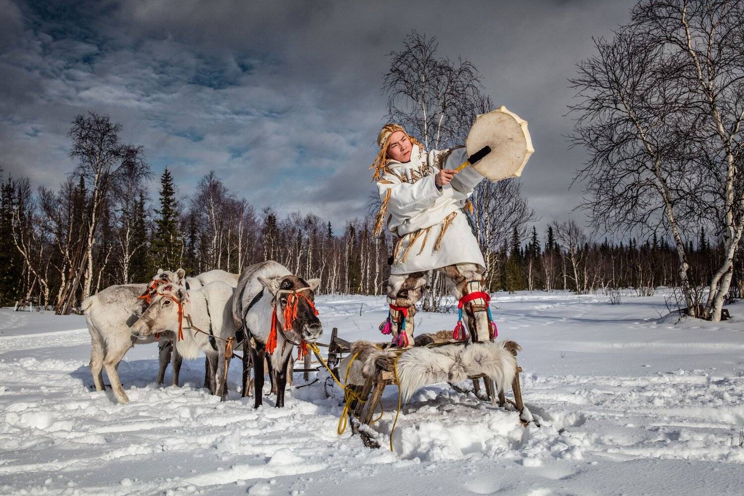 , Алексей Сулоев