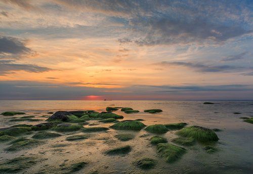 Белые ночи на Финском заливе.