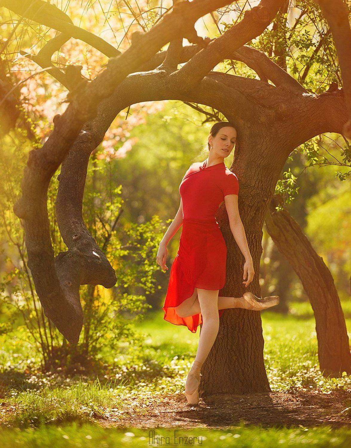 ballerina, ballet, dance, dancing, portrait,, Enzeru Akira