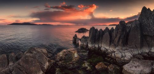 Годзилла на прогулке