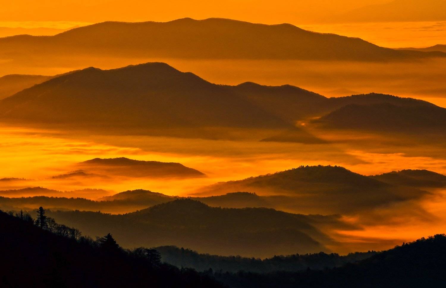 Свет, рассвет, горы, Приморье, Приморский край, Виталий Берков