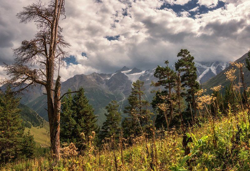 На теплых склонах Приэльбрусья фото превью