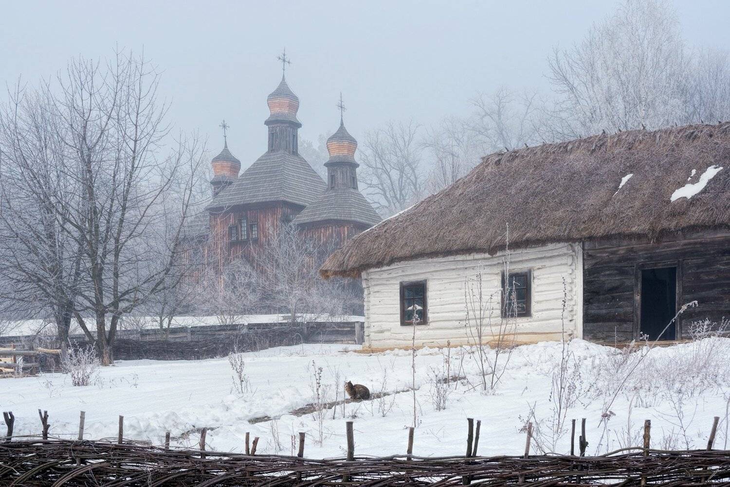 , Юрий Юрьев
