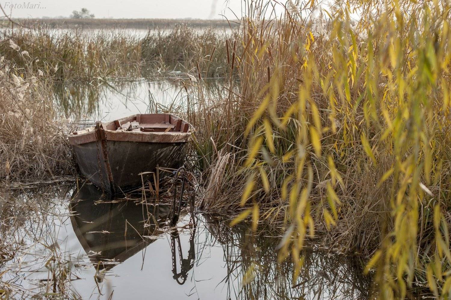 , Марина Соколова