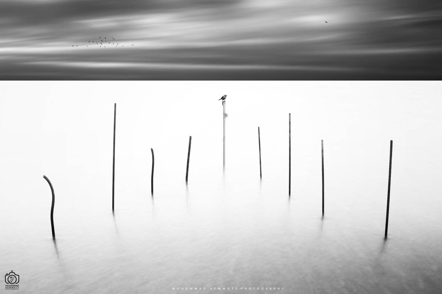 birds,camera,canon,photo,photography,sea,nature,compsition,minimal,art,artistik, Mohammad Hemmaty