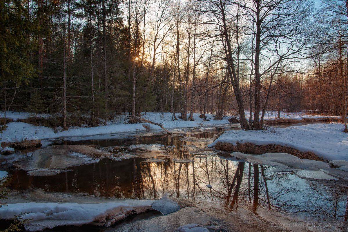 , Хохряков Николай