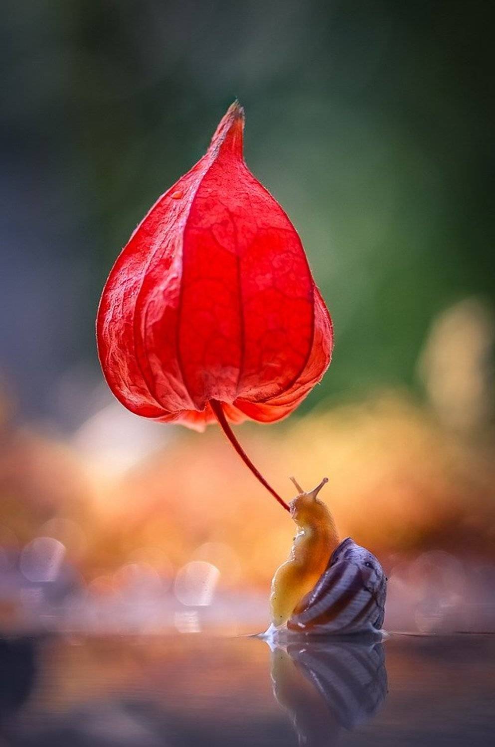 , Вячеслав Мищенко