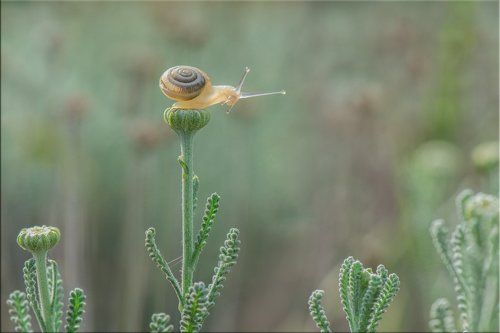 Утро первого апреля