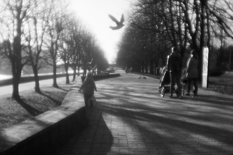 *** фото превью