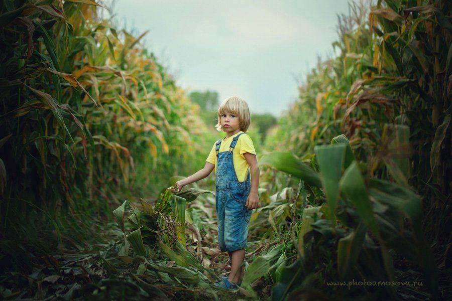 , Ирина Амосова