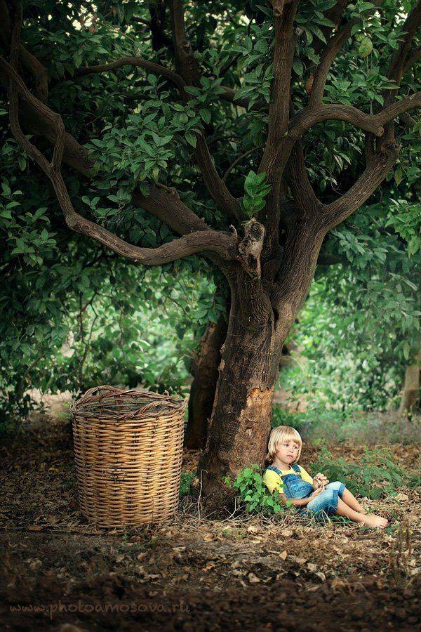 , Ирина Амосова