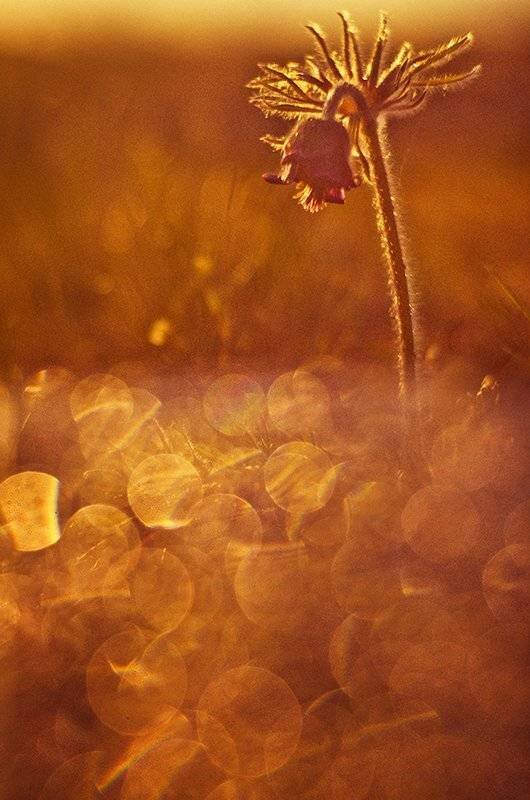 , Татьяна Аверина